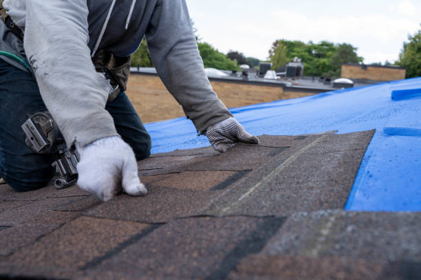 Best Roof Moss and Algae Removal  in Cascade, ID